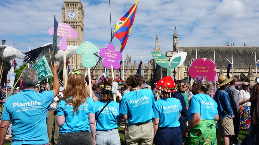 Plantlife staff join the Restore Nature Now march in London. Bright flags and sings can be seen waving in the air with the houses of parliament in the background