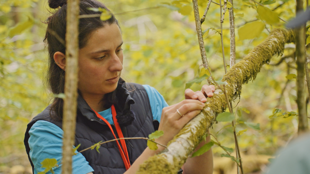 Woman with hands on a branch with lichen on it