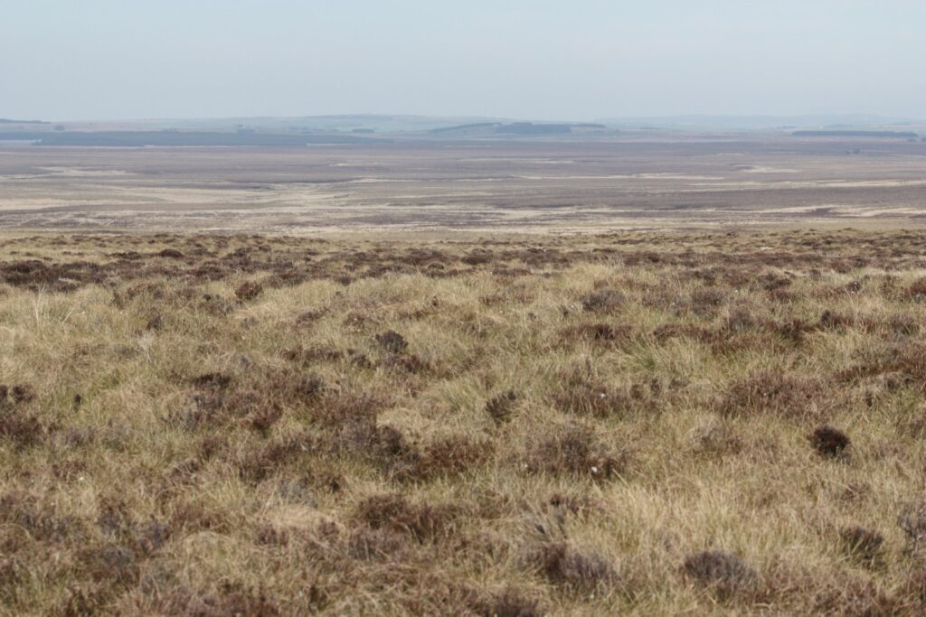 A view across Munsary Peatland Nature Reserve,shows the peatlands fading into the horizon. Mountains can be seen outlined far, far in the distance.