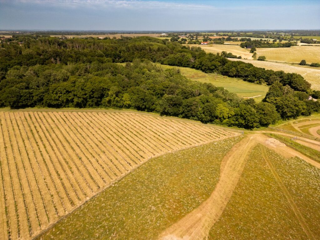 Photograph shows a bird's-eye view over an area of land, fields can be seen, a wooded area and biodiverse landscapes