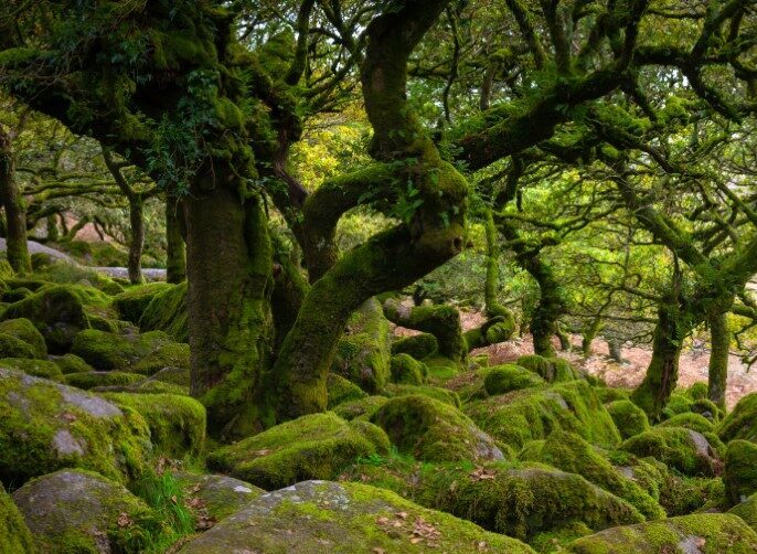 Dartmoor National Park, southwest, Devon, England. (c) Rungslip Saistorn - iStock