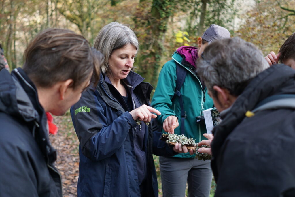 Group in a rainforest on a training day