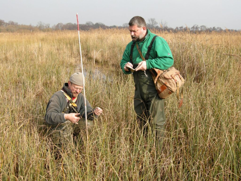 Fen orchid field work