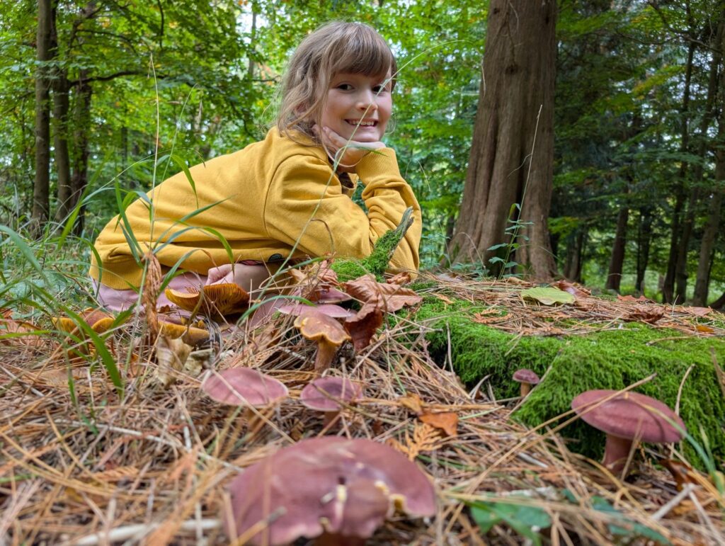 A young girl in a yellow coat crouches on the forest floor next to some mushrooms