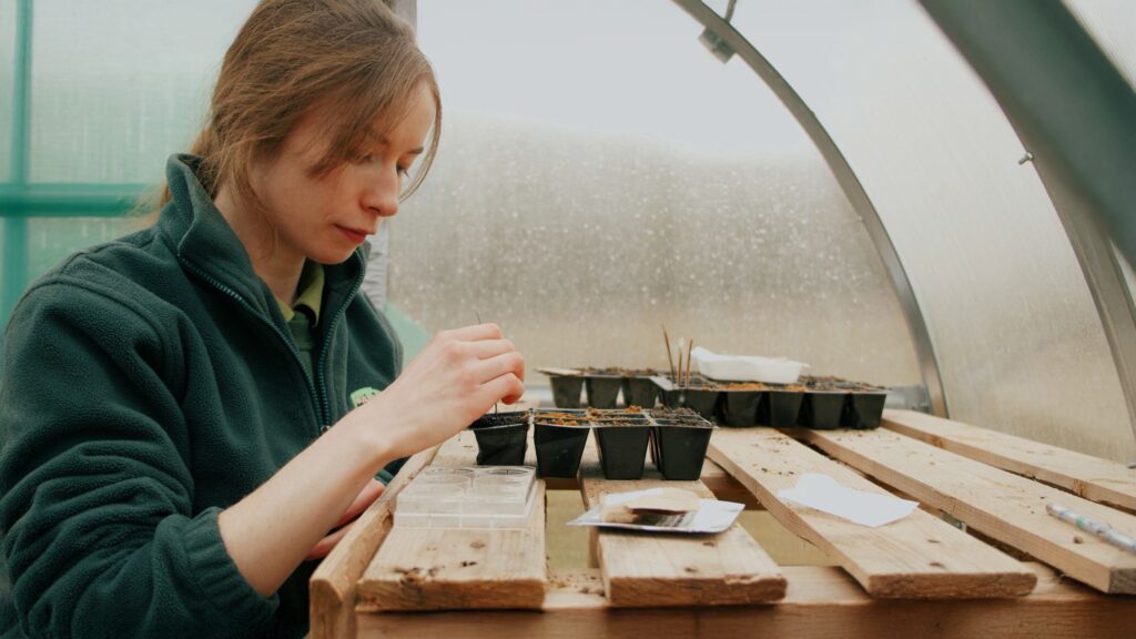 A woman planting seeds into a seed tray