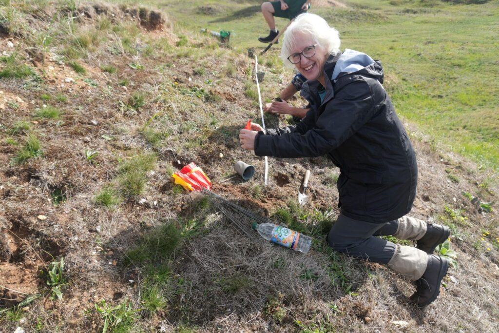 Woman planting on a hill