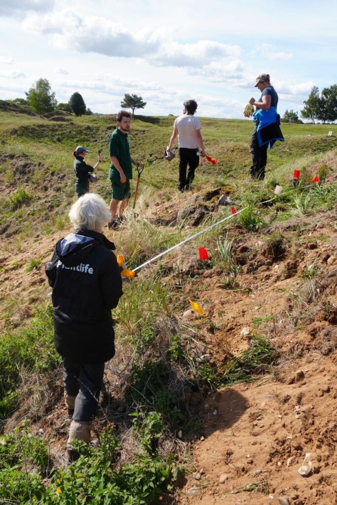 People on a hill marked with red flags, where planting has happened
