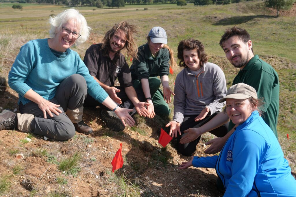People in a group pointing to a Field Wormwood plant