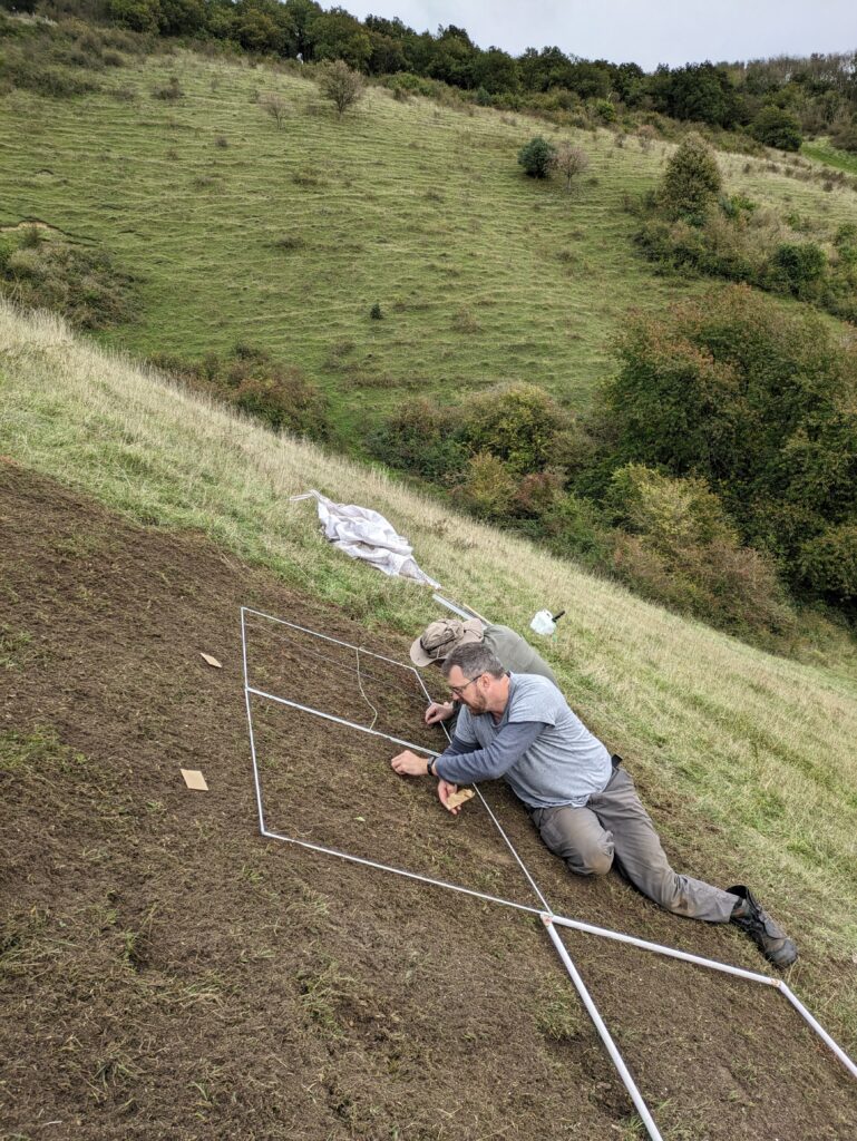 Photograph shows a man laying on the ground - the ground has been cleared and he is hand planting seeds into the soil