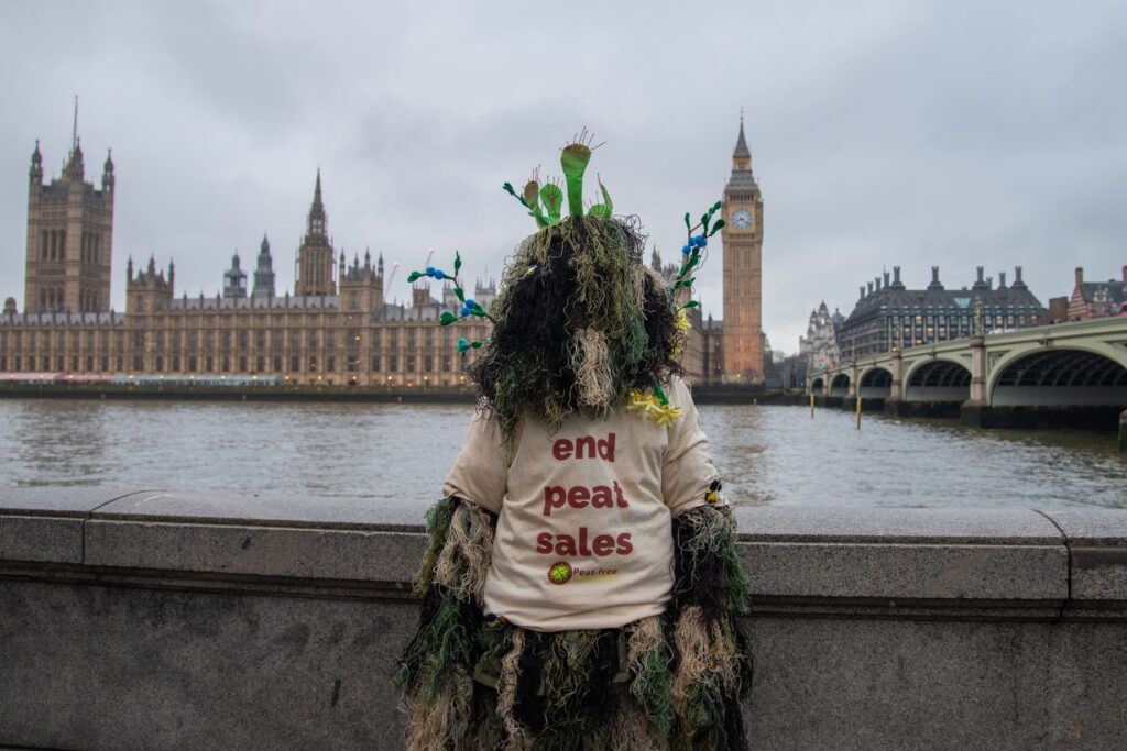Person in costume representing a peatland bog in front of Parliament in London