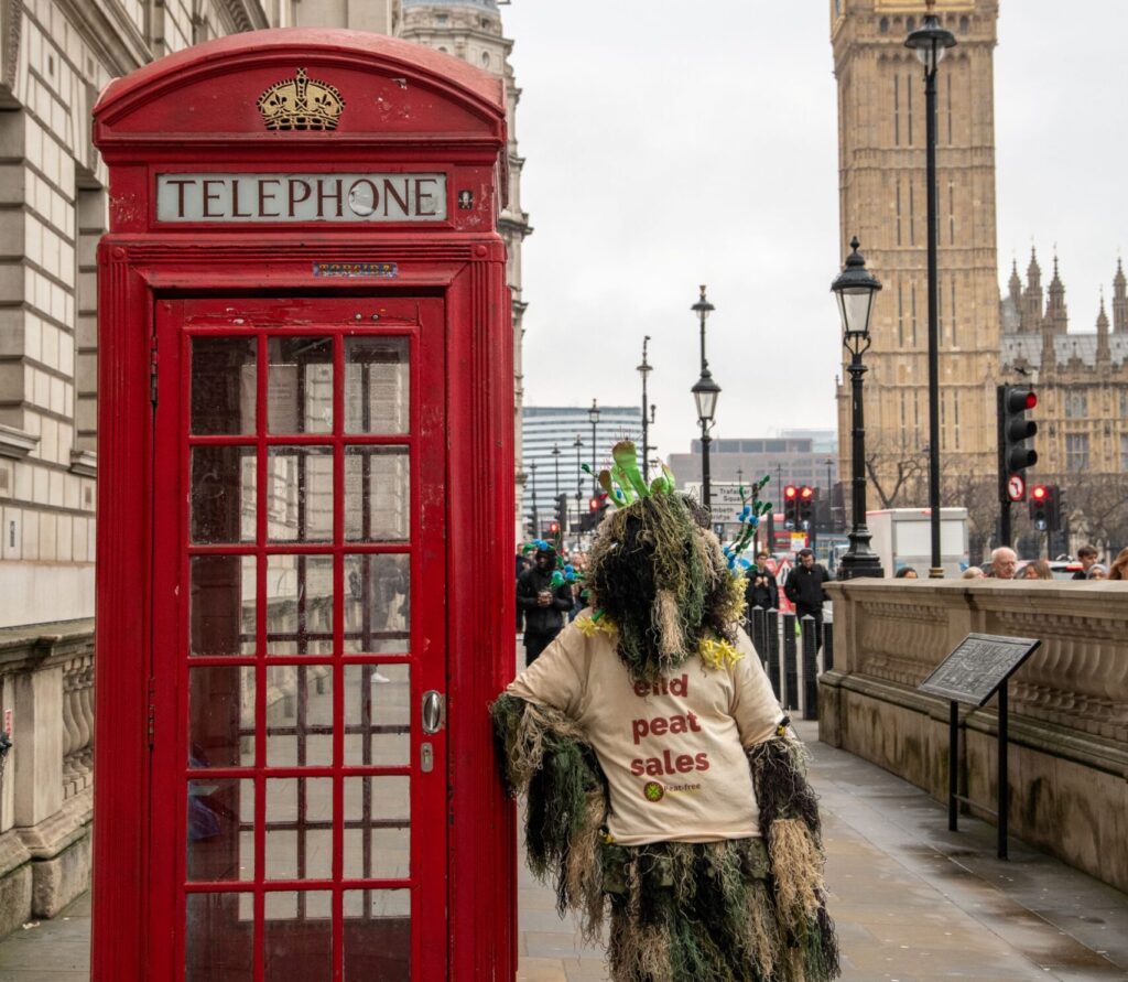 Person in a costume representing a bog, leaning against a red telephone box in front of Parliament in London