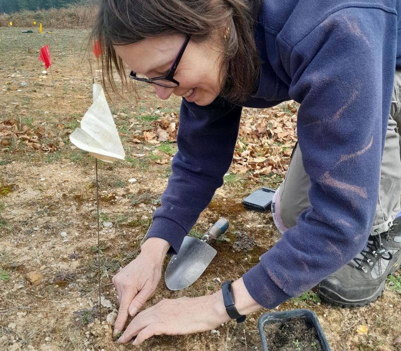Person wearing glasses planting with hands on the ground and trowel on the side