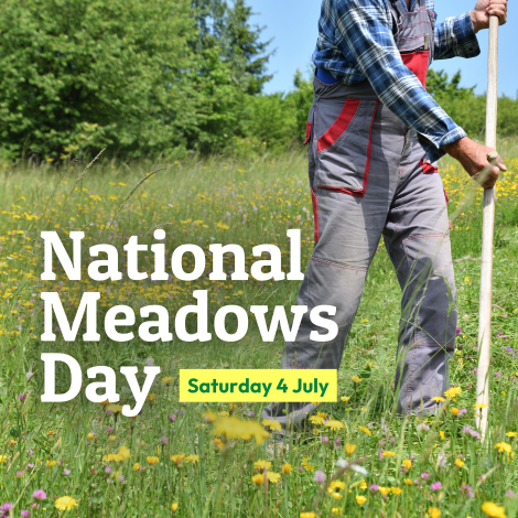 A person using a scythe in a meadow with wildflowers and grasses.