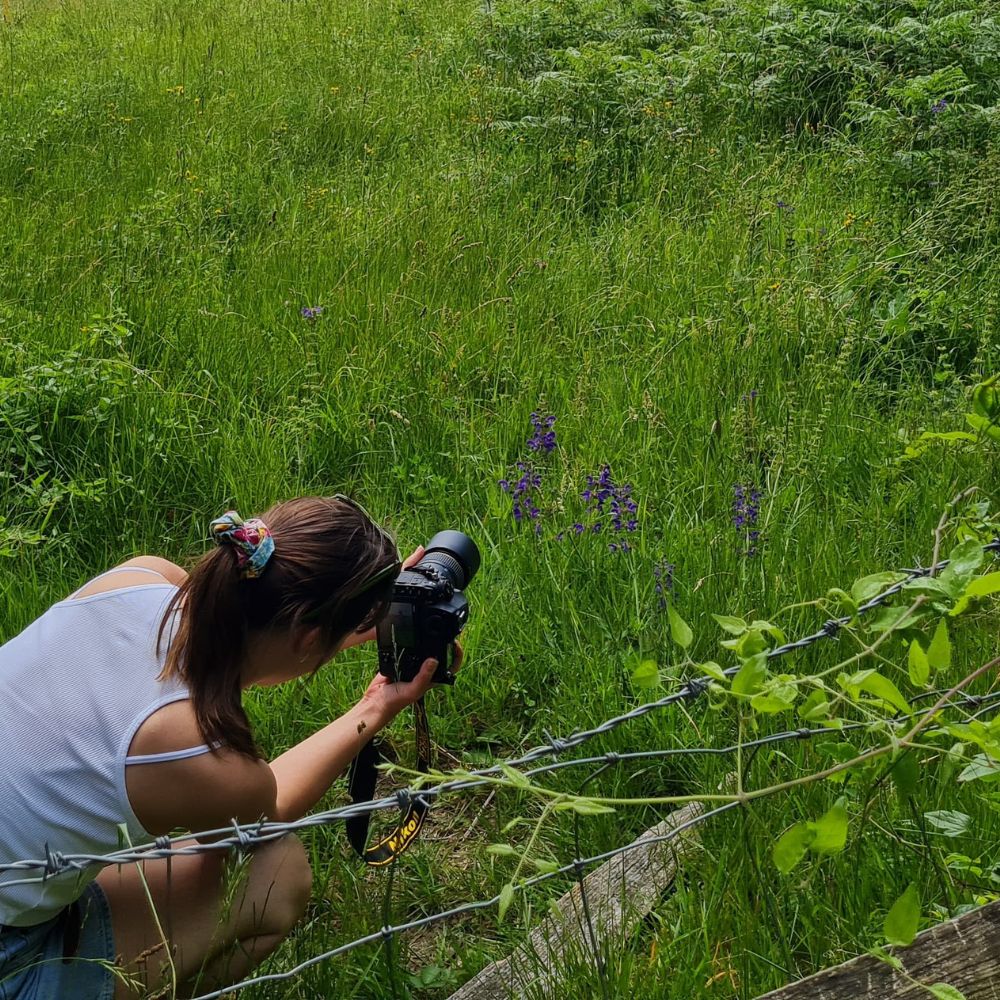 Photograph shows a woman kneeling on the ground to take a photograph of purple wildflowers in a meadow