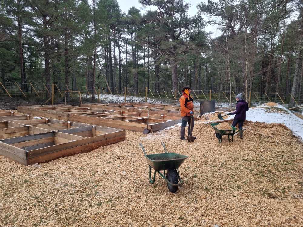 Photograph shows two volunteers in the Cairngorms preparing the site of the new Twinflower nursery. The first planting beds can be seen in the background