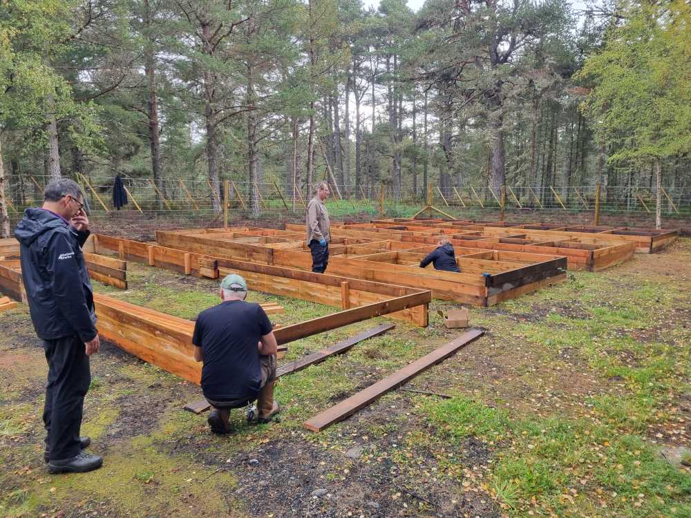 Photograph shows a group of volunteers in the Cairngorms working to build large plant nursery beds from wooden sleepers.
