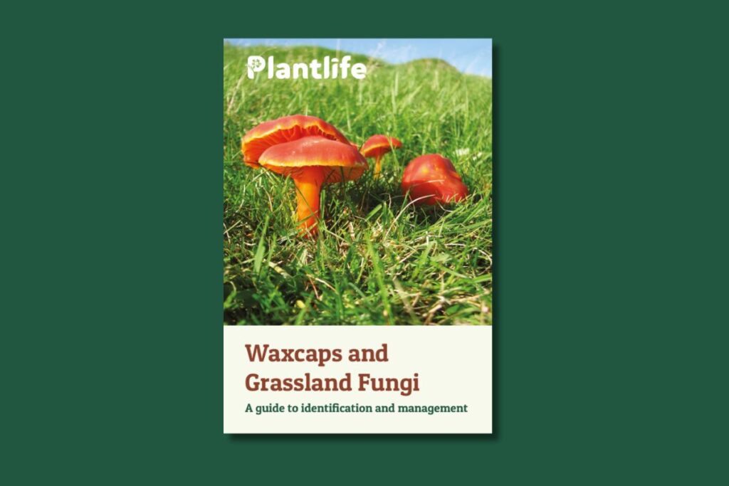 A thumbnail image showing the cover of the Waxcap and Grassland Fungi Guide.