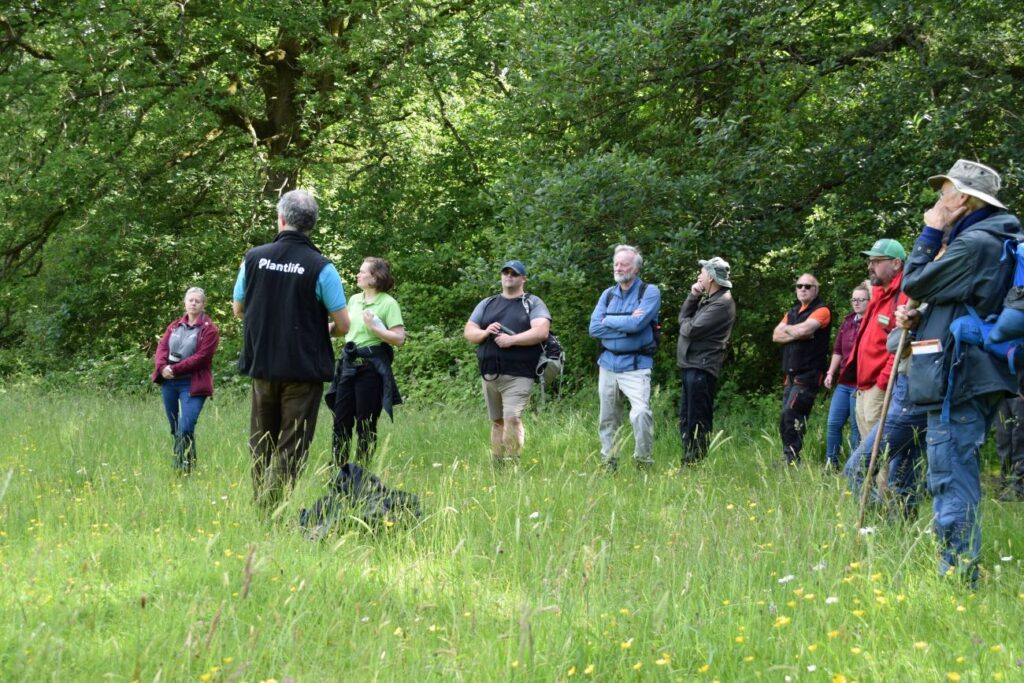 Photograph shows a Plantlife conservation team member giving a talk to a group of people in a meadow