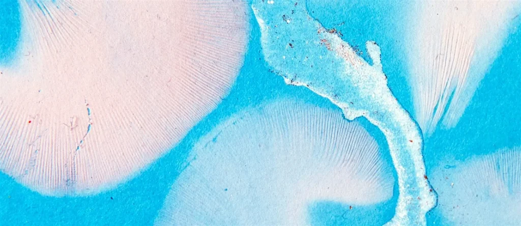 Photograph shows a beautiful fungi art piece in bright vibrant blue and white