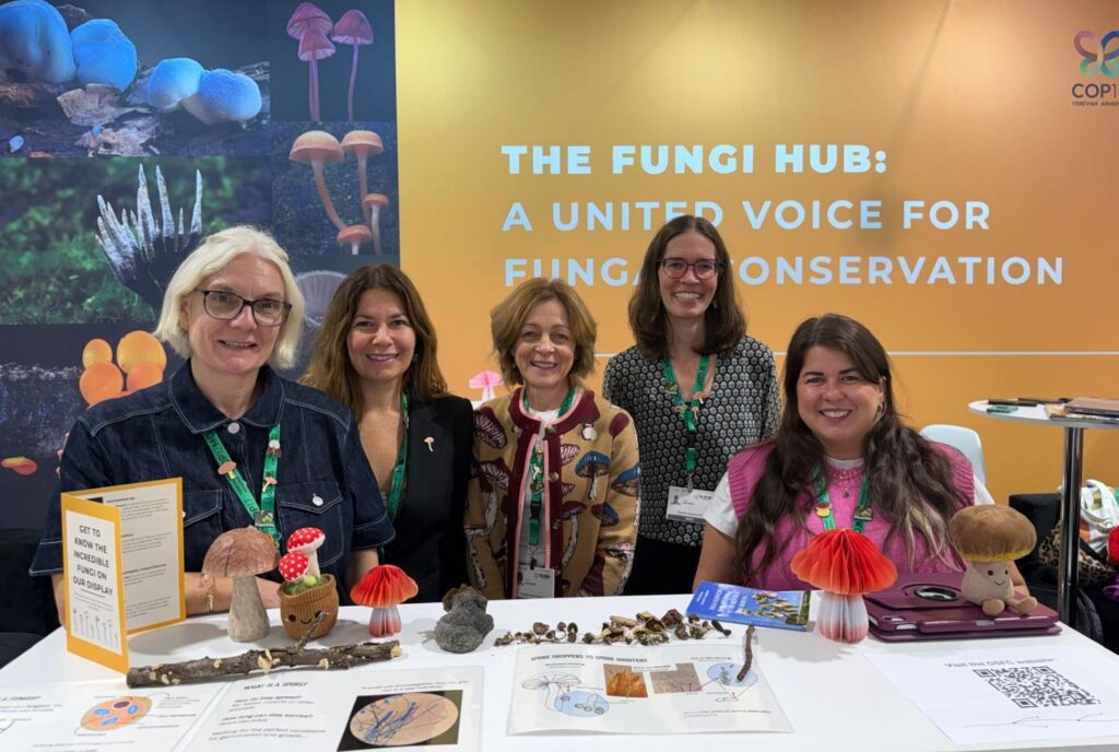 Five people are stood behind a table. The table has models of fungi on. They are stood in front of a board with images of fungi